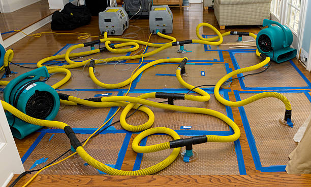 Professional Crawl Space Water Removal technician working in Clayton, OH